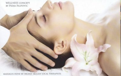 WELLNESS KONCEPT WAPF U SAMOM SRCU BEOGRADA
