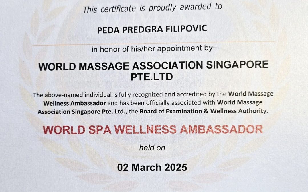 WELLNESS & SPA AMBASADOR SVETA