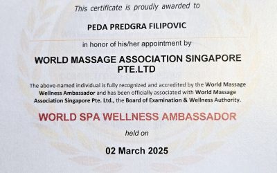 WELLNESS & SPA AMBASADOR SVETA